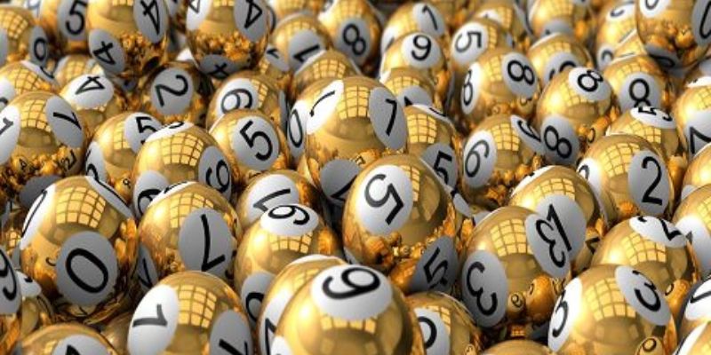 Đặc trưng nổi trội chỉ có tại TP Lottery KUBET77